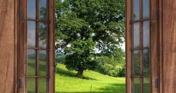 La fenêtre en bois, la meilleure menuiserie pour sublimer votre intérieur ?