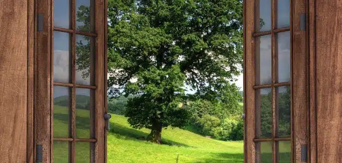 La fenêtre en bois, la meilleure menuiserie pour sublimer votre intérieur ?